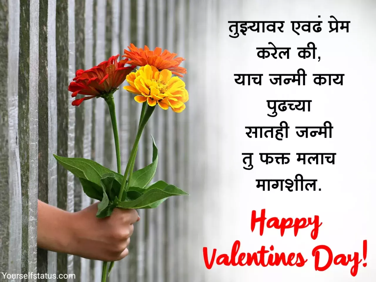 Valentine Day Hardik Shubhechha Marathi