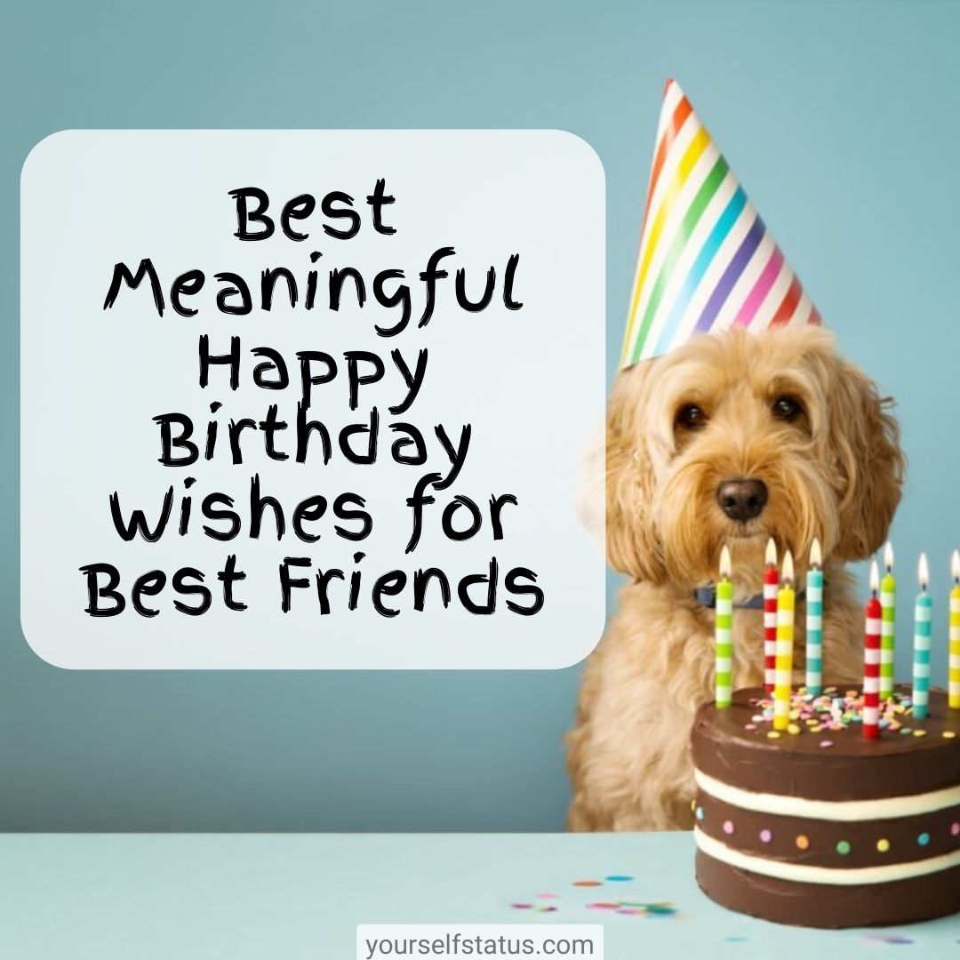 Best Meaningful Happy Birthday Wishes for Best Friends