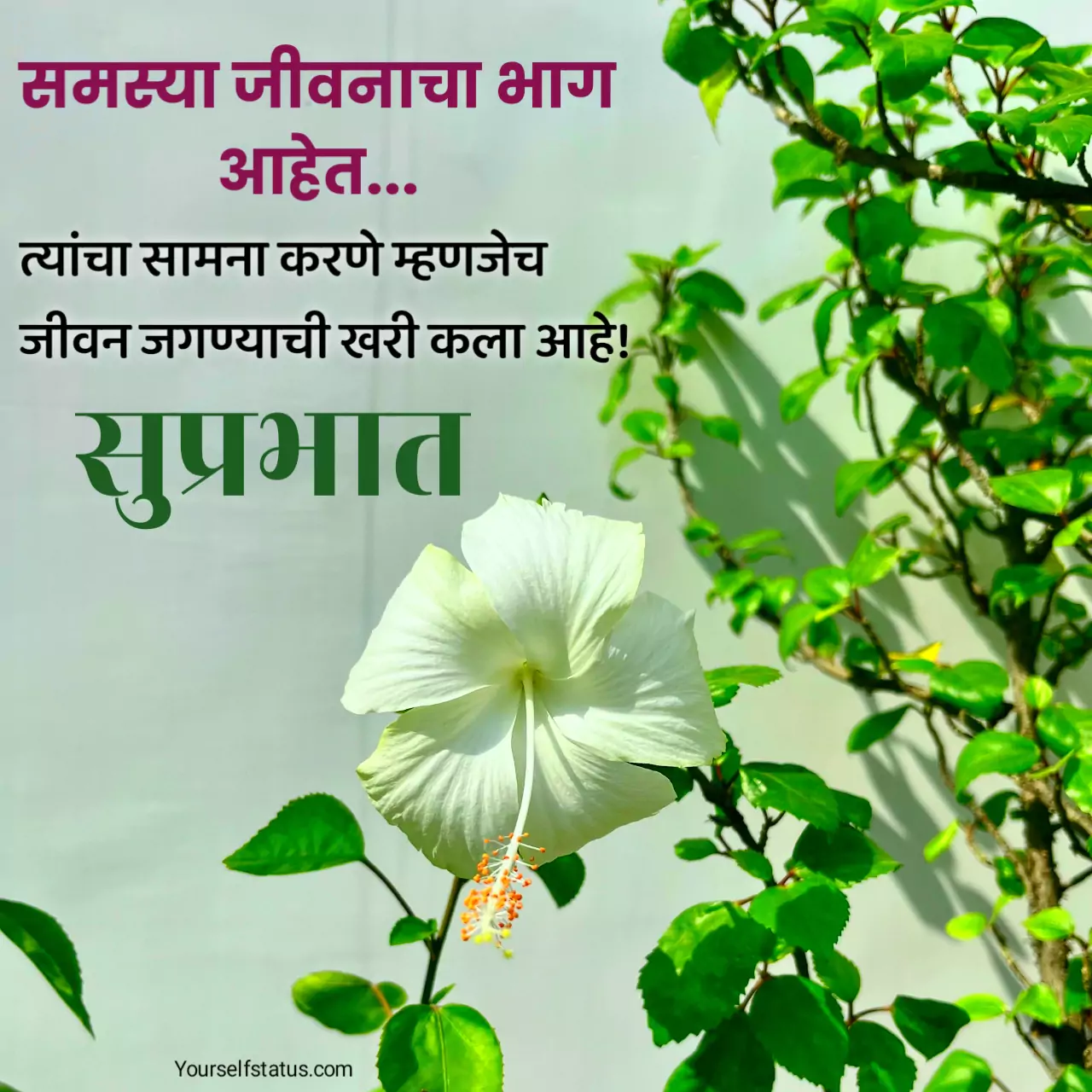 Good morning quotes in marathi with images